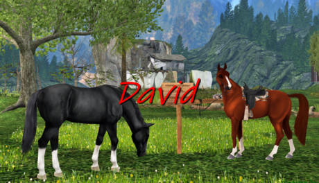 Second Life Marketplace - Naked horse